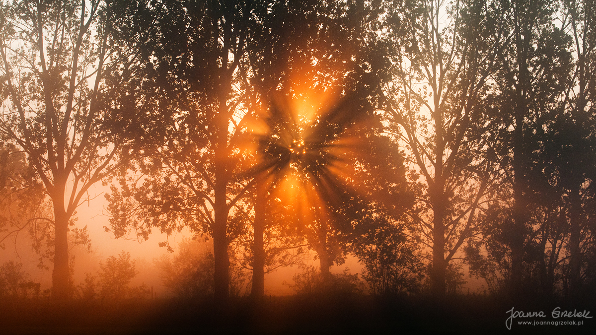 007_Biebrza - maj 2013.jpg